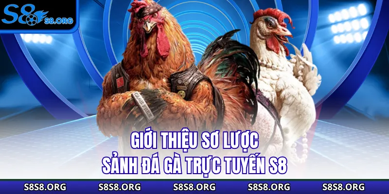 Giới thiệu sơ lược sảnh đá gà trực tuyến S8